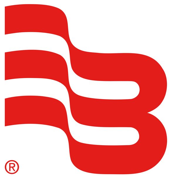 Flow Instrumentation Badger Meter Logo